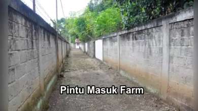 Jual Tanah di Lokasi Premium Rumpin, Bogor, Harga 2,2 Miliar