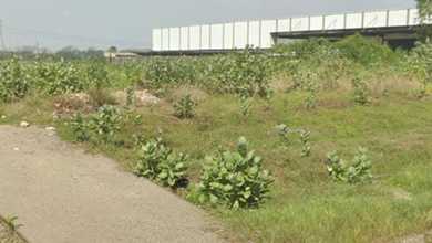 Dijual Tanah Eksklusif di Cikande, Serang, LT 22500m²