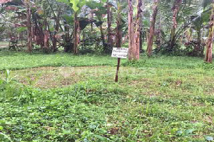 Jual Tanah Minimalis di Area Mengwi, Badung