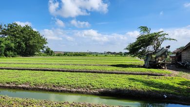 Kavling Prestisius Dijual di Kosambi, Tangerang, Harga 15,5 Miliar