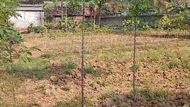 Tanah Luas 589 m2 Area Strategis Parung Panjang, Dijual Murah