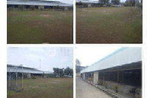 Jual Cepat Ex Pabrik Di Jalan@besar