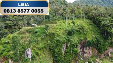 Jual Terjangkau Tanah 12400 m2 Kawasan Strategis