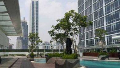 Apartemen Sewa di Lippo Karawaci Furnished Tipe 1 BR Favorit di Tangerang