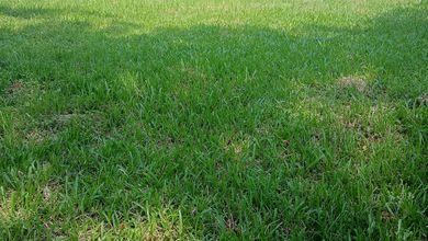 For Sale Tanah Eksklusif di Lippo Karawaci, Tangerang, LT 694m²