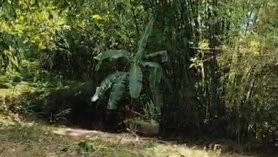 Investasi Tanah Murah di Cisoka, Tangerang, Luas 700m²