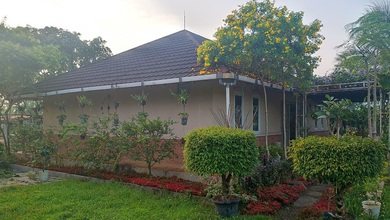 Villa Dan Kebun Beserta Isinya Luas Nyaman Asri Siap Pakai Panen Di Jonggol Bogor.