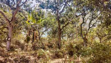 Tanah Ideal untuk Hunian di Pandaan, Pasuruan, Luas 8170m²