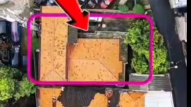 Dijual rumah Eksklusif di Cipinang, Jakarta Timur - LT 363m²