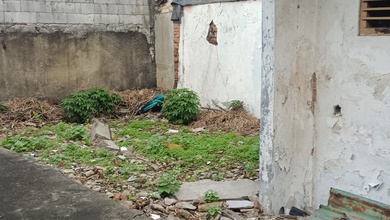 Rumah Area Luxury Pademangan, Jakarta Utara - Harga Terbaik 6 Miliar