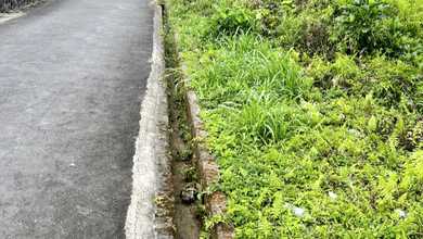 Jual Tanah Sederhana di Area Bedugul, Tabanan