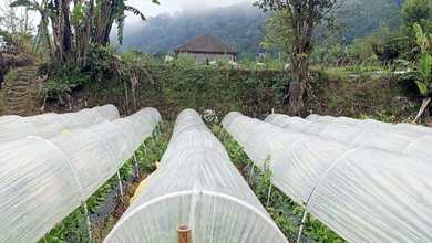 Tanah Elit Dijual di Bedugul, Tabanan, Harga 560 Miliar