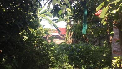 Kavling Prestisius Dijual di Singaraja, Buleleng, Harga 270 Miliar