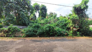 Tanah Elit Dijual di Saba, Gianyar, Harga 487 Miliar