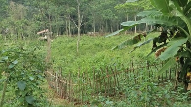 For Sale Tanah Eksklusif di Cianjur, Cianjur, LT 4000m²