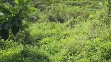 Dijual Tanah Eksklusif di Sentul, Bogor, LT 1000000m²