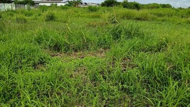 For Sale Tanah Premium di Kamal, Jakarta Utara, LT 6170m²