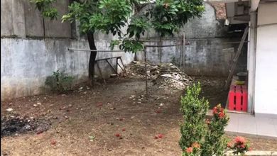 Rumah Mewah di Kawasan Mampang, Jakarta Selatan, LB 340m², Harga 8,6 Miliar