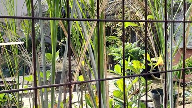 Jual Cepat Tanah Prospektif di Citra Garden, Jakarta Barat, LT 207m²