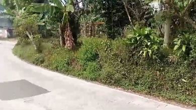 Dijual Tanah Eksklusif di Cianjur, Cianjur, LT 11000m²