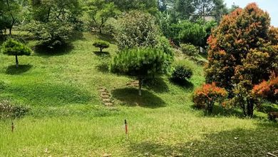 Dijual Tanah Premium di Bogor Barat, Bogor, LT 3284m²