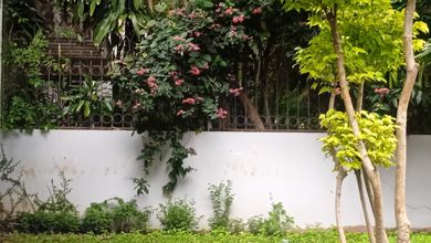 Sewa Rumah Favorit di Pondok Indah, Jakarta Selatan, Harga Terjangkau