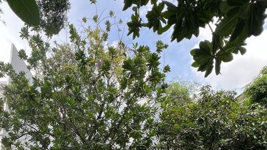 Dijual Tanah Eksklusif di Pantai Indah Kapuk, Jakarta Utara, LT 560m²