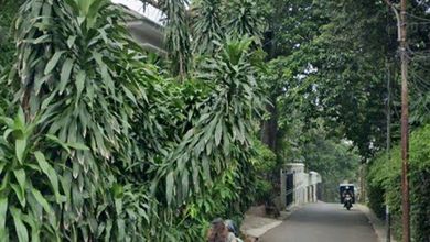 Dijual Tanah Eksklusif di Pejaten, Jakarta Selatan, LT 500m²