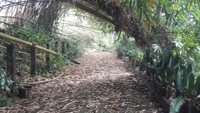 Kavling Prestisius Dijual di Cibubur, Jakarta Timur, Harga 172 Miliar