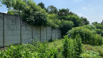 For Sale Tanah Eksklusif di Cikeusal, Serang, LT 9013m²