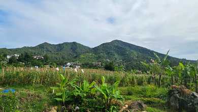 Kavling Prestisius Dijual di Cipanas, Cianjur, Harga 6 Miliar