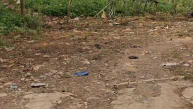 Kavling Prestisius Dijual di Parung Panjang, Bogor, Harga 6,5 Miliar