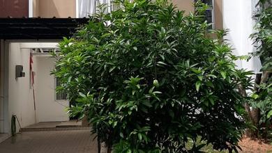 Kesempatan Rumah di Cisauk, Tangerang, LB 88m², Harga 2,35 Miliar