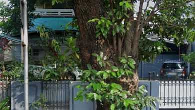 Rumah Mewah di Menteng, Jakarta Pusat, 4 KT, LT 685m²
