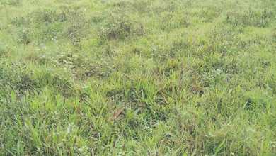 Jual Tanah Lokasi Strategis, Luas 4500 m2