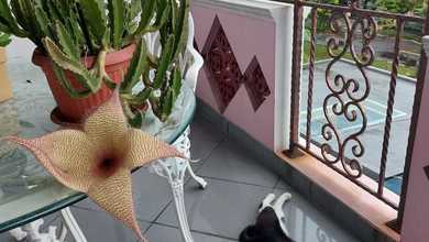 Rumah Elit LT 308 m2, area Duren Sawit, Jakarta Timur
