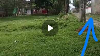 Tanah Elit Dijual di Tigaraksa, Tangerang, Harga 2,7 Miliar