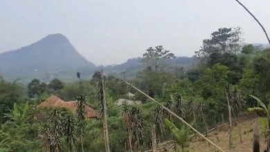 Kavling Prestisius Dijual di Sukamakmur, Bogor, Harga 38 Miliar