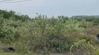 Kavling Prestisius Dijual di Lasem, Rembang, Harga 67,5 Miliar