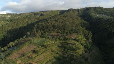 Kavling Prestisius Dijual di Lembang, Bandung, Harga 3600 Triliun