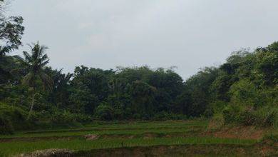 Jual Terjangkau Tanah 14779 m2 Area Strategis