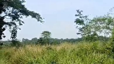 Promo Tanah Strategis di Curug, Serang, Harga 536 Juta