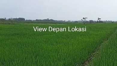 Dijual Tanah Premium di Tabanan, Tabanan, LT 1975m²