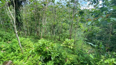 Kavling Prestisius Dijual di Gianyar, Gianyar, Harga 47 Triliun