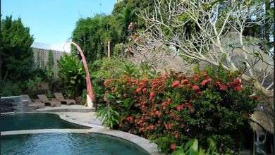 Rumah Mewah di Kawasan Canggu, Badung, LB 348m², Harga 8,5 Miliar