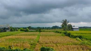 Kavling Prestisius Dijual di Mengwi, Badung, Harga 6,69 Triliun