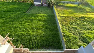 Kesempatan Langka, rumah Prestisius di Beraban, Tabanan, LB 260m²