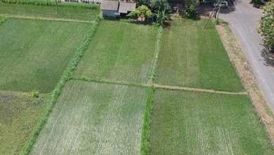 Kavling Prestisius Dijual di Dawan, Klungkung, Harga 3,63 Triliun