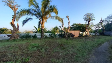 Tanah Harga Hemat di Mengwi, Badung, Harga 85,2 Juta