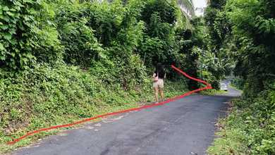 For Sale Tanah Premium di Tabanan, Tabanan, LT 13700m²